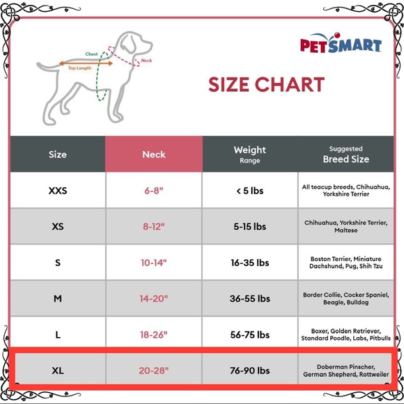 XL Petsmart Winter Green Holiday Dog Collar Naughty or Nice Santa Gold Christmas - Picture 7 of 7